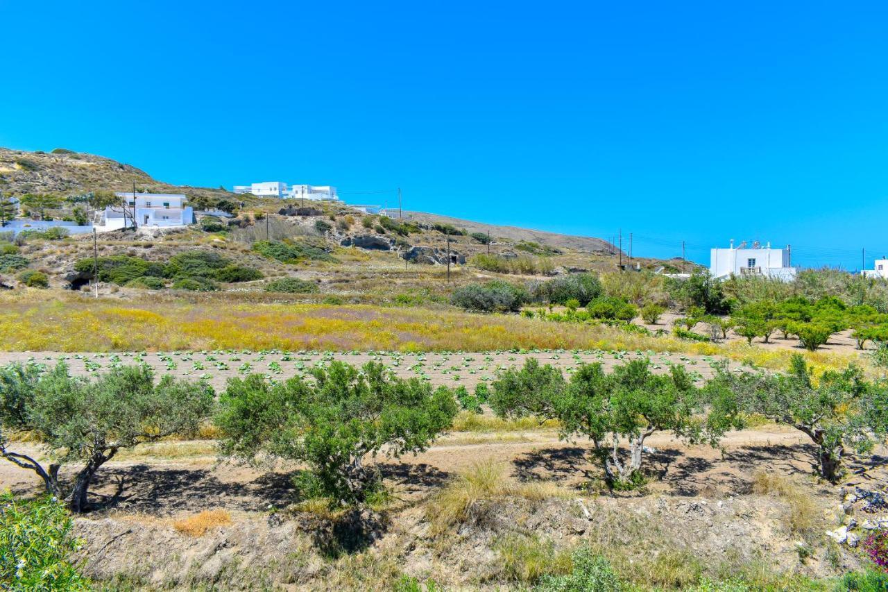 Pergola Hotel Полония Екстериор снимка
